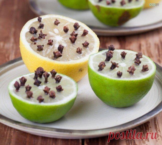 16 მიზეზი იმისა, თუ რატომაა ლიმონი მსოფლიოში ყველაზე გამოსადეგი და სასარგებლო მცენარე. » OXO TV