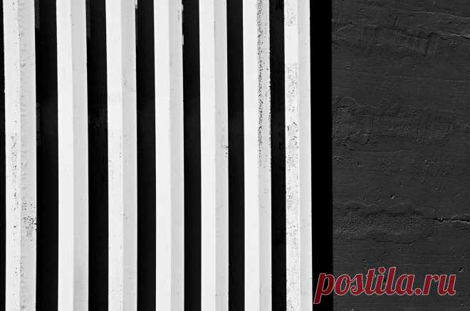 Использование вертикальных линий в фотографии!