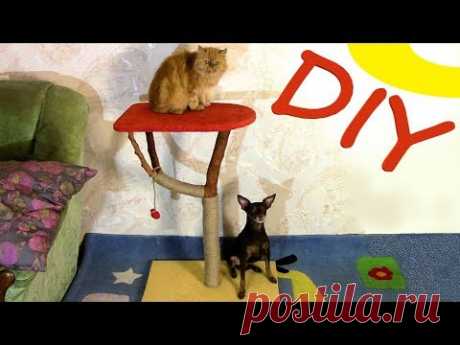ЭКСКЛЮЗИВНАЯ КОГТЕТОЧКА ИЗ ХЛАМЬЯ И ПАЛОК 😻 DIY / КОГТЕТОЧКА СВОИМИ РУКАМИ