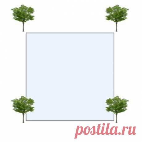 Загадки