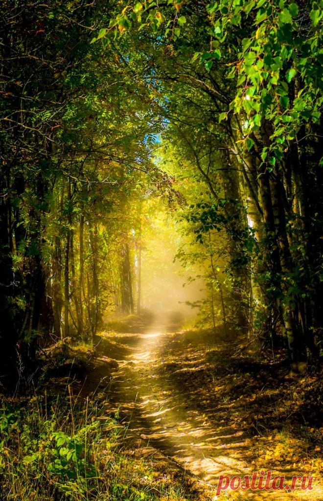 Найдено на сайте 500px.com.