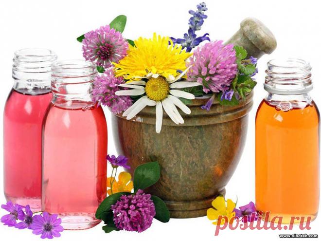 Целебные настойки | Домашнее виноделие