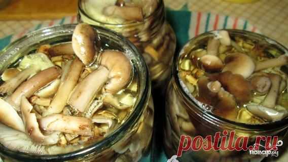 Маринованные опята без уксуса - пошаговый кулинарный рецепт на Повар.ру