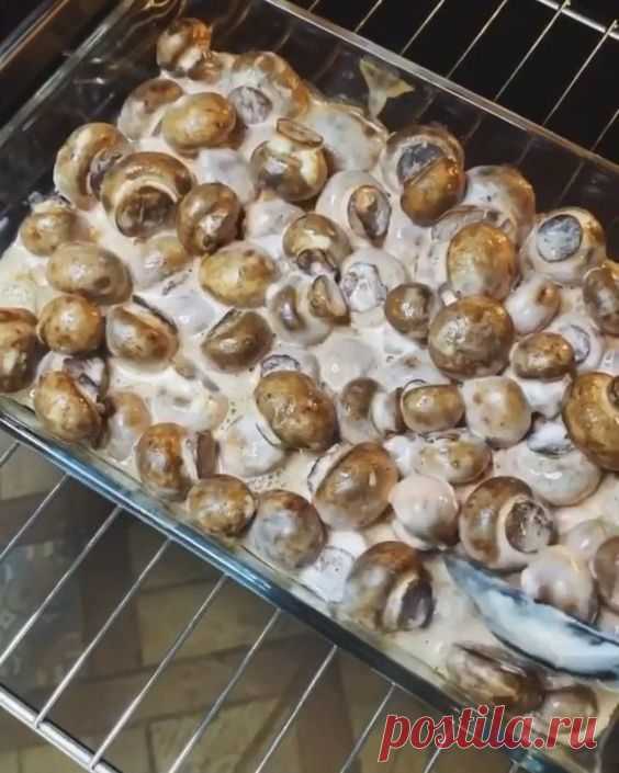 Грибная сказка