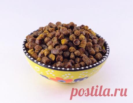 Перга — супер полезный для здоровья продукт пчеловодства! Как правильно употреблять | Всегда в форме!