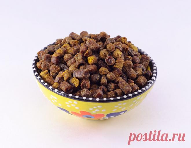 Перга — супер полезный для здоровья продукт пчеловодства! Как правильно употреблять | Всегда в форме!