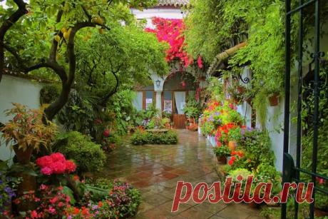 patios cordobeses interiores bonitos - Buscar con Google
