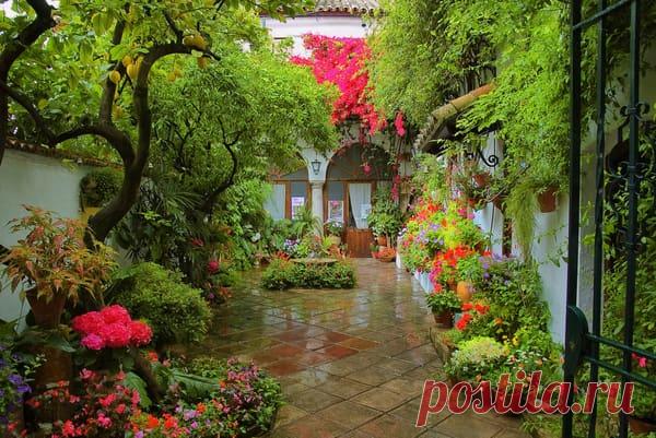 patios cordobeses interiores bonitos - Buscar con Google