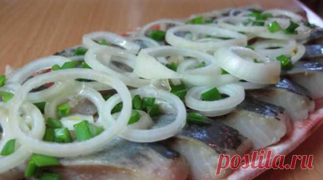 лук маринованный к селедке рецепт