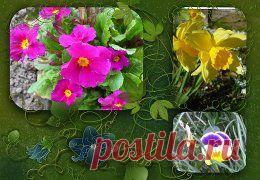 (99) Одноклассники