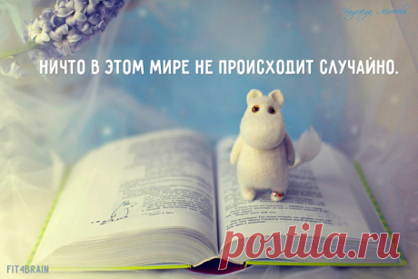 Случайностей не существует — всё на этом свете либо испытание, либо наказание, либо награда, либо предвестие. © Вольтер