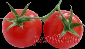 Tomato png, image, picture
letölthető png-k