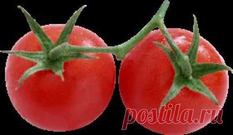 Tomato png, image, picture
letölthető png-k