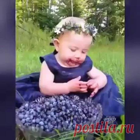 Черничная принцесса