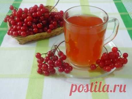 С КАЛИНОЙ ДРУЖЕН – ВРАЧ НЕ НУЖЕН
ЦЕЛЕБНЫЕ свойства КАЛИНЫ: простые рецепты.
Калина - одна из самых ПОЛЕЗНЫХ ягод в природе.
В калине всё ЦЕЛЕБНО: кора, веточки, цветы, ягоды и сушёные косточки.
Наши предки о лечебных свойствах калины, знали, что ее ягоды улучшают работу сердца, обладают успокаивающим действием.
Витамина С в калине в 1, 5 раза больше чем в лимоне. В ней есть железо, селен, йод, каротин, фосфор.
С мёдом калину назначали при простудных заболеваниях.
Чай из калины пили при гнойничко