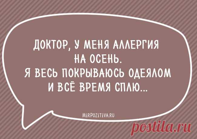 Остроумные и смешные фразы на каждый день!
