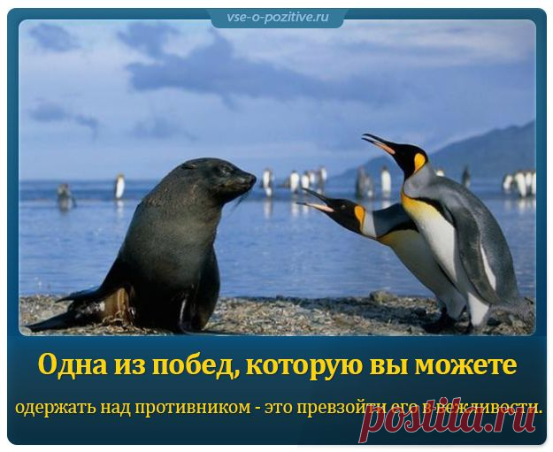Позитивные картинки с надписями. Выпуск 13 » Позитив. Сайт хорошего настроения - Все о Позитиве