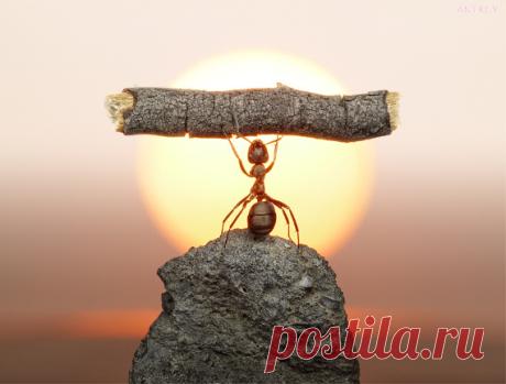 incrediblethings.com - StumbleUpon