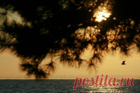 Отели на юге России пообещали дождаться туристов. Большинство туристов рассчитывают добраться к месту запланированного отдыха, массовых аннуляций в отелях на юге России из-за перекрытий на федеральных автотрассах М-2 «Крым» и М4 «Дон» в Ростовской области не наблюдается. Об этом сообщает Российский союз туриндустрии. Гостиницы пообещали сохранить брони гостей.