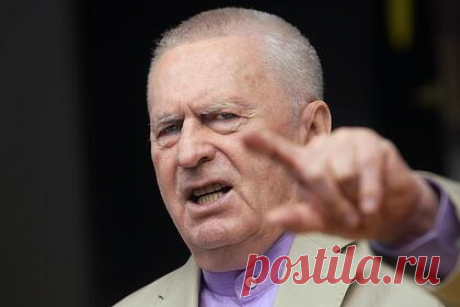 Жириновский назвал лучшего спикера Госдумы. Лидер ЛДПР Владимир Жириновский заявил, что поддерживает кандидатуру Вячеслава Володина в спикеры Госдумы. По его словам, Володин является лучшим ее руководителем за все созывы. Кроме того, по словам главы ЛДПР, при работе Володина на посту спикера улучшилась законотворческая деятельность парламента.