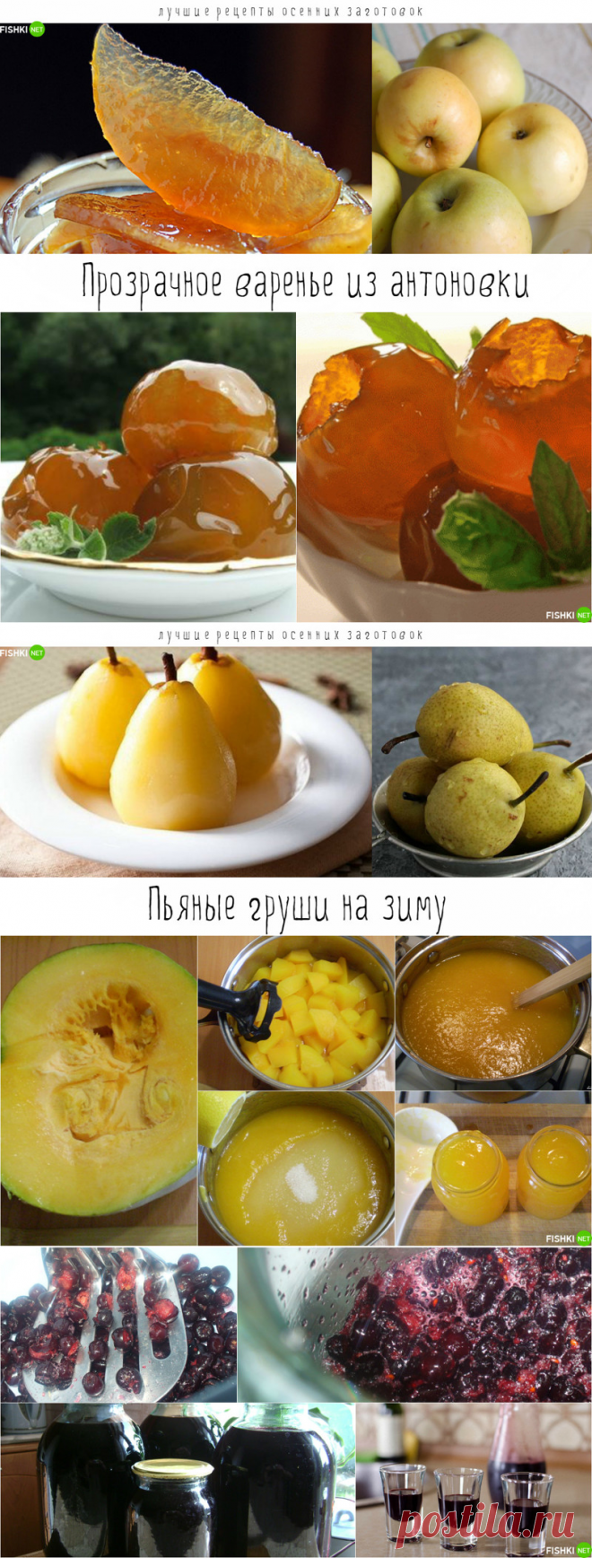 Лучшие рецепты осенних заготовок - чтобы зимой было вкусно!