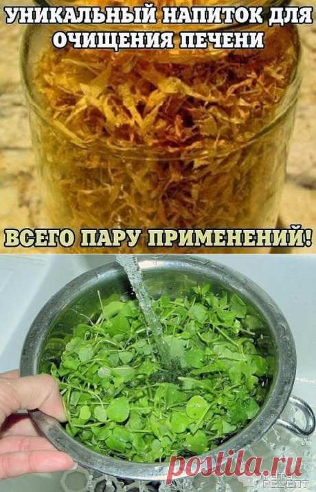 Очистка печени. Трава жизни.