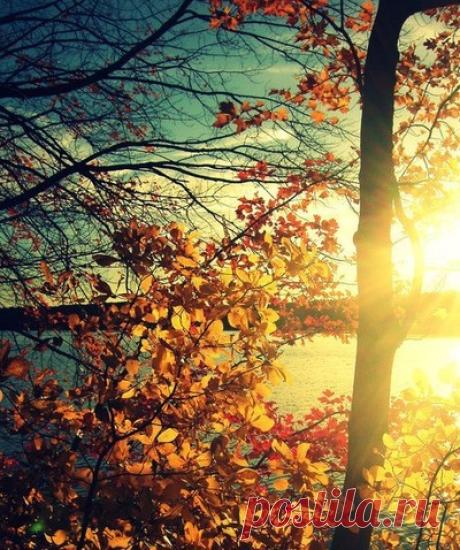 tumblr_mak8x0gL1t1ry6rxro1_400.jpg (400×478)