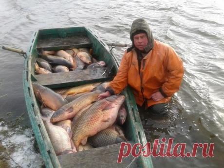 Вот это рыбалка