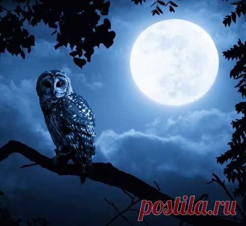 Слова-обереги о которых нужно знать.