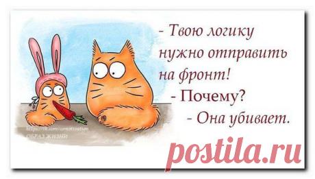 Co-Motivation....ОБРАЗ ЖИЗНИ.