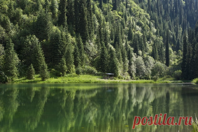 Каинды - Путешествуем вместе