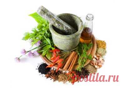 По просьбе читателей. Лечение крапивницы. | Народная медицина