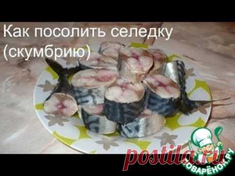 Рецепт вкусной соленой селедки или скумбрии
