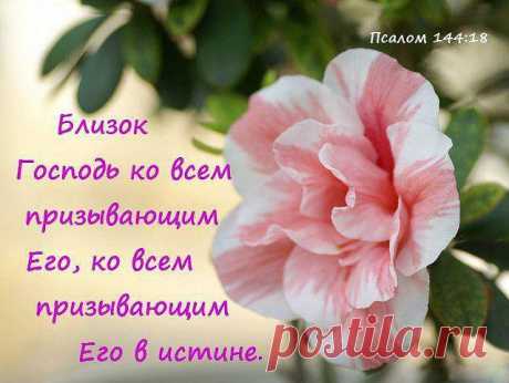 ღ♕ღКթαсОтαღ♕ღ