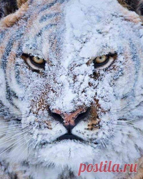 Photo by Joe & Mary Ann McDonald