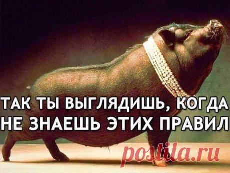 Простые правила этикета, которые нужно знать каждому.