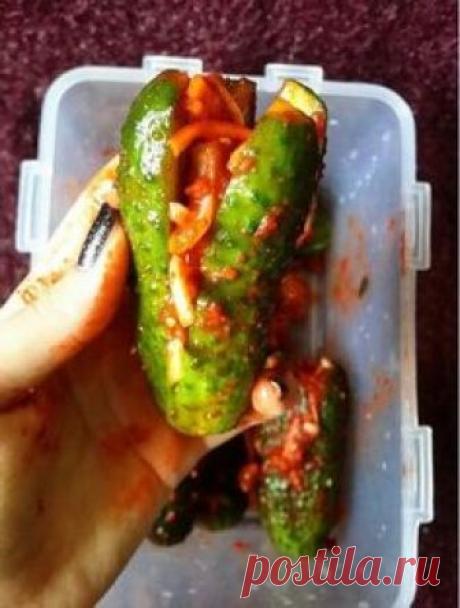 Корейская кухня. Кимчи из огурцов: просто и вкусно.: vilka_logka