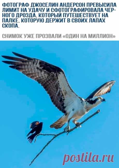 Дзен