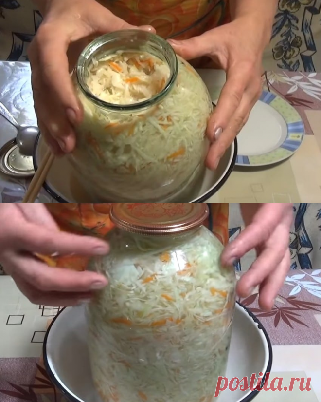 Капуста в рассоле на зиму – 5 очень вкусных рецептов засолки хрустящей капусты