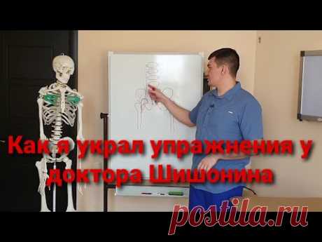 Самая важная мышца поясницы. Почему я украл упражнения у доктора Шишонина