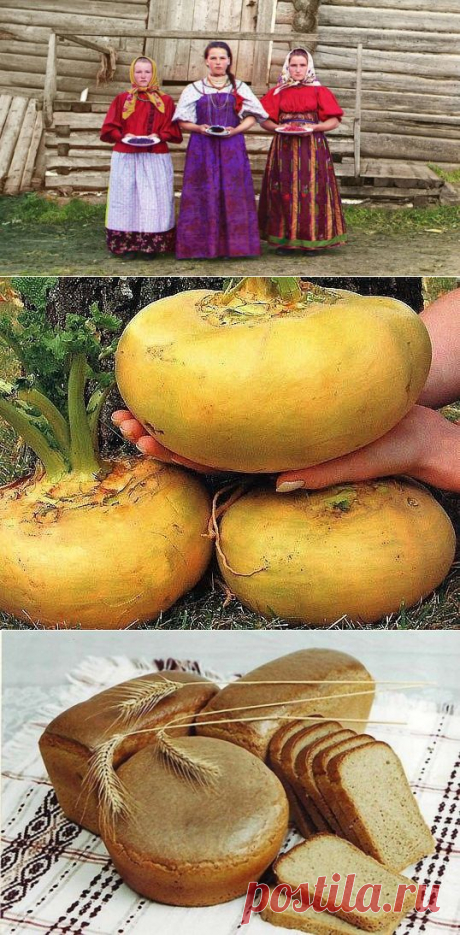 Чем питалась Древняя Русь / Научный хит