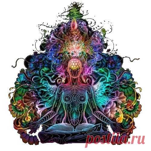 кактусы пейот: 2 тыс изображений найдено в Яндекс.Картинках