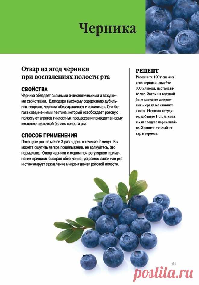 Отвар из ягод черники при воспалении полости рта