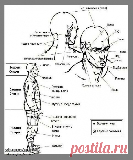 КОНТАКТ С ПРОТИВНИКОМ. УЯЗВИМЫЕ ТОЧКИ ТЕЛА. 

В физической схватке с противником важно все. 
поэтому нужно знать уязвимые точки на человеческом теле. 

К зонам, где находятся уязвимые точки корпуса, относятся : промежность, солнечное сплетение, ребра, сердце, печень, селезенка, подмышки, почки, копчик. (см. точки на рис 1) 

*** 
ПРОМЕЖНОСТЬ 

Через область промежности проходит много крупных сосудов и нервов, выше располагаются половые органы, которые сами по себе очень чу...