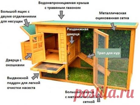 Курятник на даче... Курятник на даче