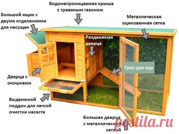 Курятник на даче... Курятник на даче