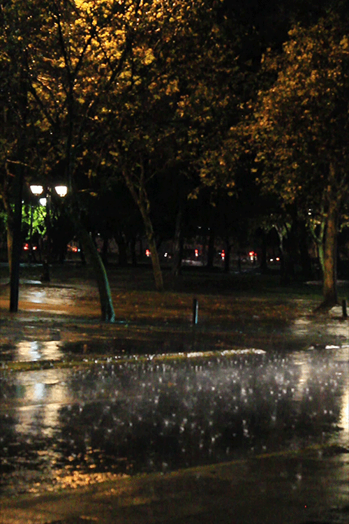 rain