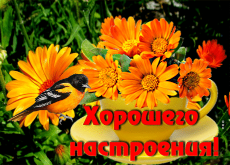 Потрясающая открытка Хорошего настроения! С птичкой - Скачать бесплатно на otkritkiok.ru