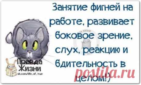 Правда жизни | Prikolisti.com