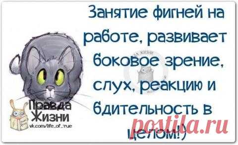 Правда жизни | Prikolisti.com